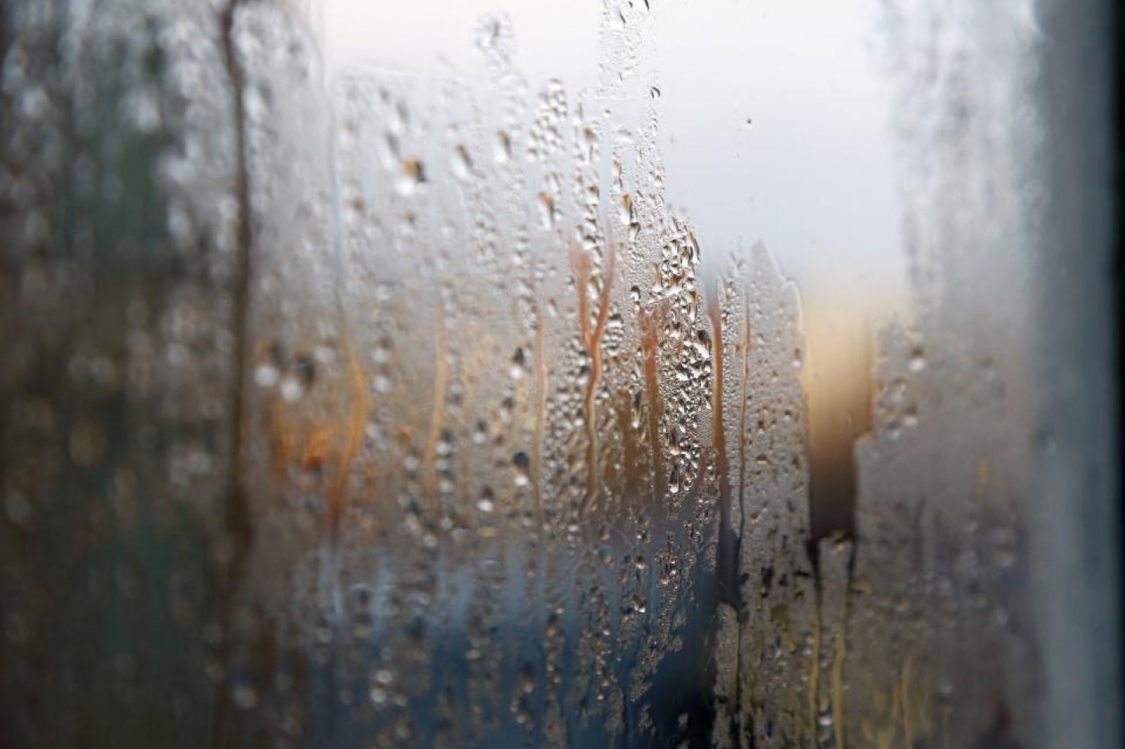 Best Small Dehumidifiers for Apartments in 2026