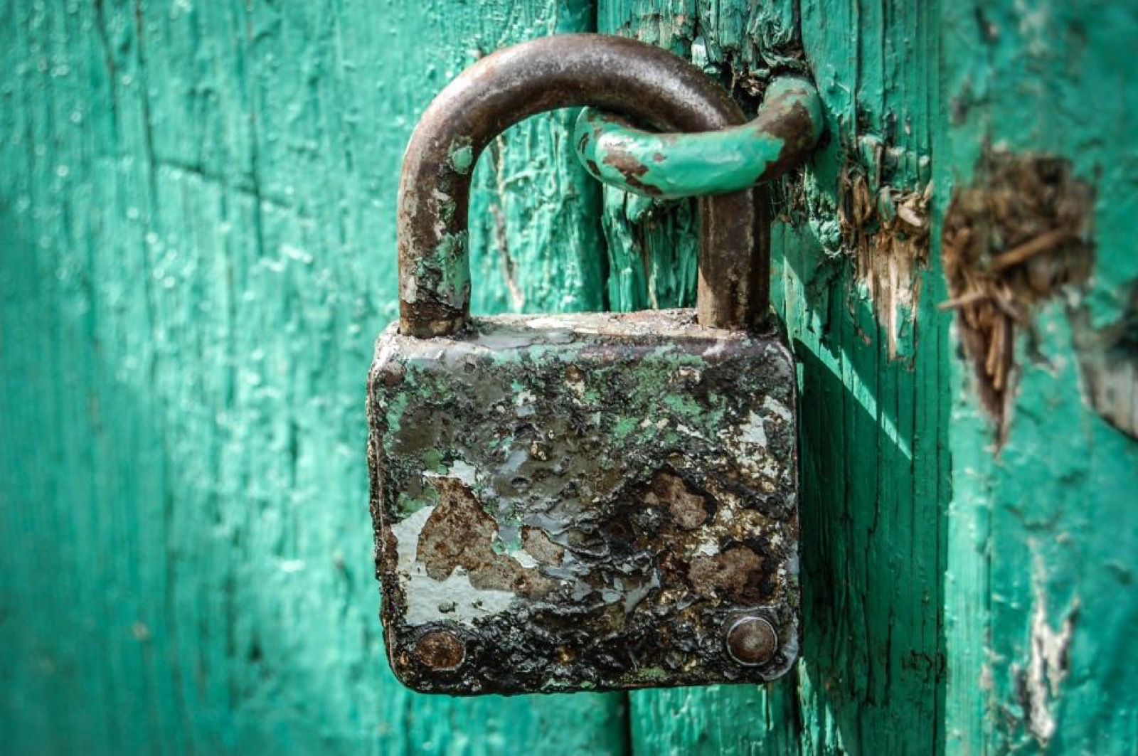 How to Use AI Tools Safely: Simple Privacy Tips